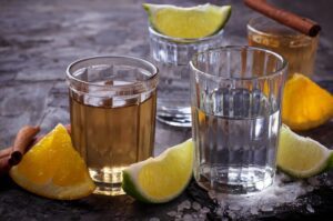 Coquetel de Tequila com Laranja e Limão