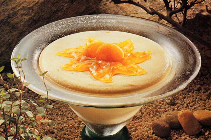 Mousse de damasco