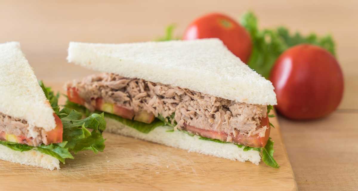 Sanduíche natural de atum fit